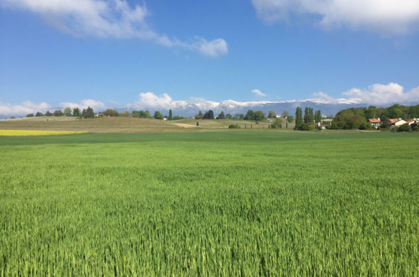 Photo©champs-et-Jura-Satigny / Julien- Masserann